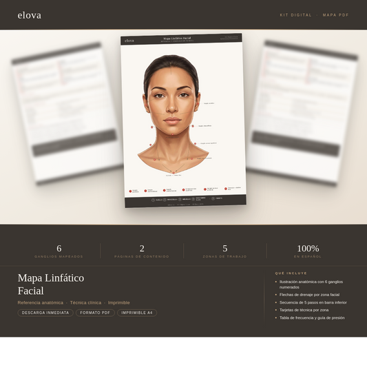 elova | Mapa Linfático Facial